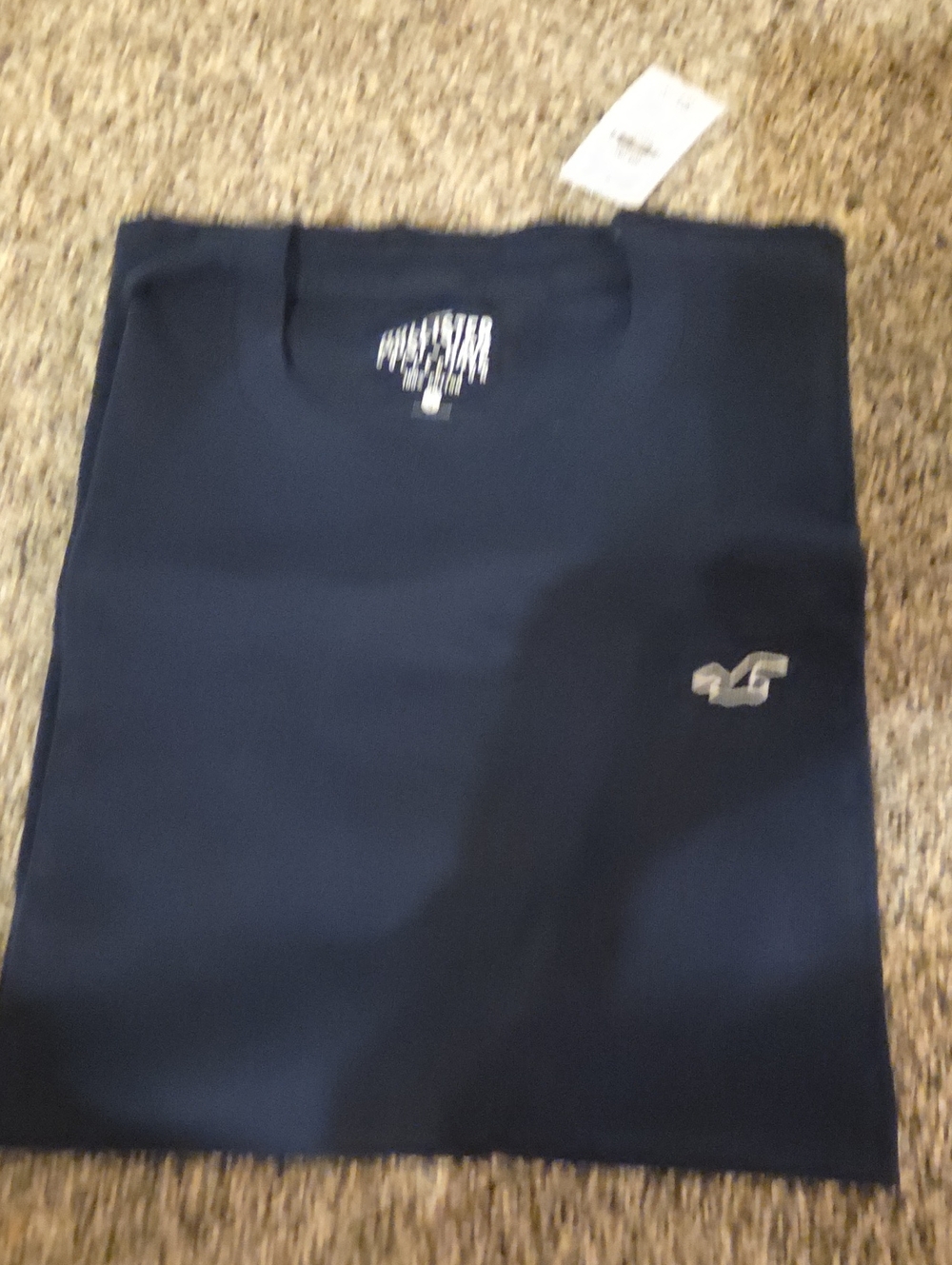 Hollister Navy Short-Sleeve Logo T-Shirt